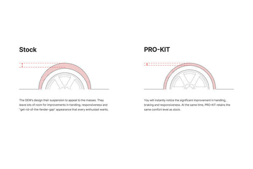 Eibach Pro-Kit for 17-20 Tesla 3 Standard Range
