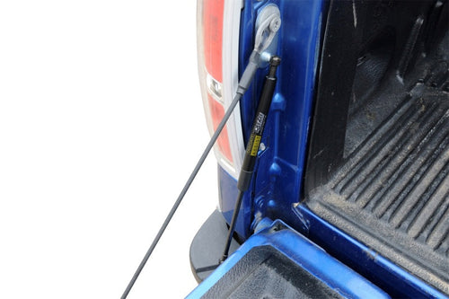 Dee Zee 04-14 Ford F150 Tailgate Assist Shock